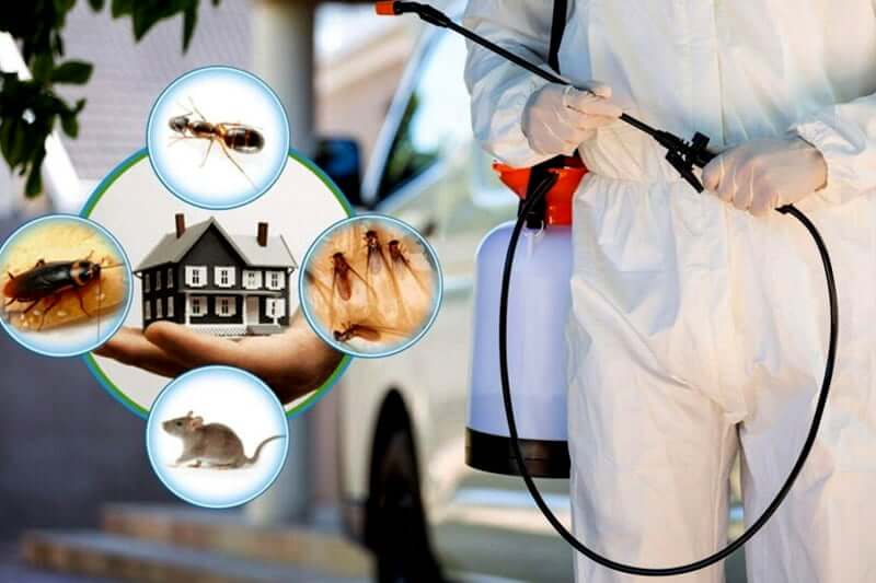 Commercial Pest Control
